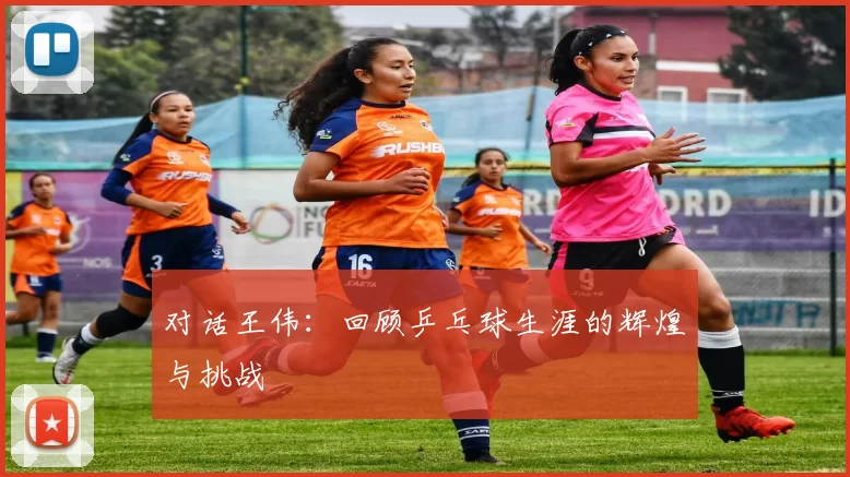 对话王伟：回顾乒乓球生涯的辉煌与挑战