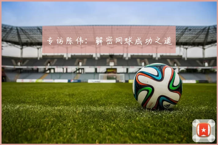 专访陈伟：解密网球成功之道