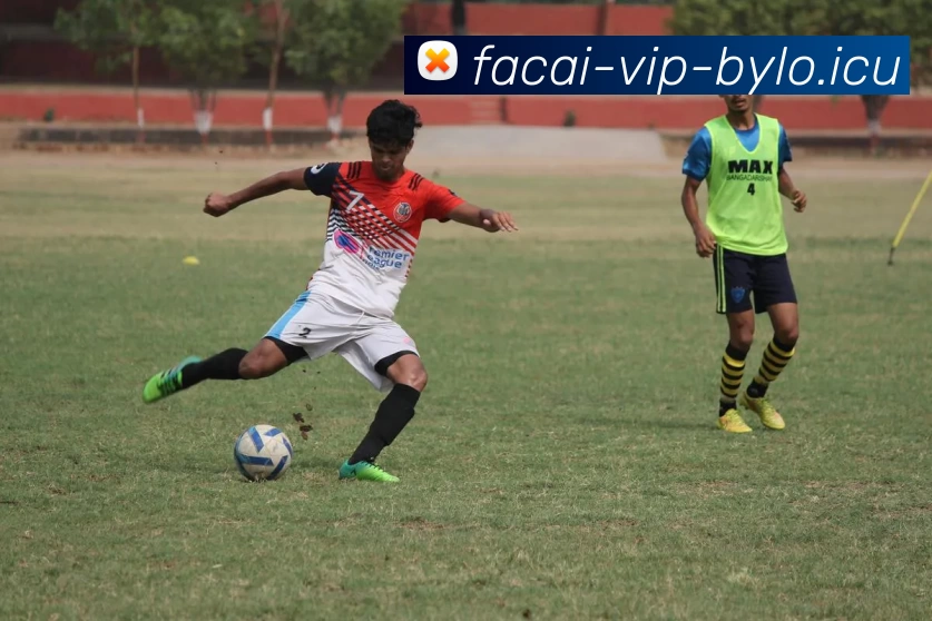 星空体育平台生态图