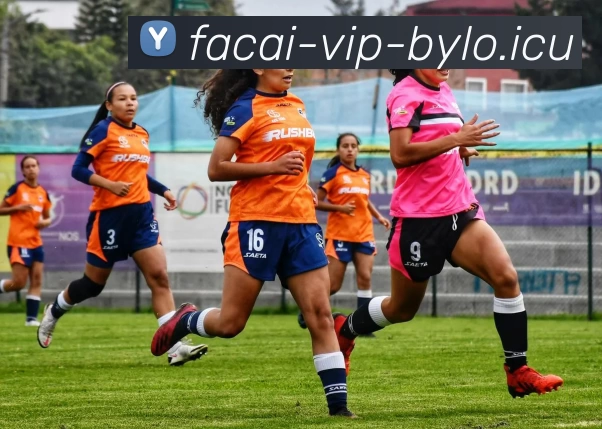 星空体育全站App